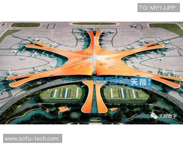 推动足球改革新思路助力中国足球崛起与国际接轨的探索之路